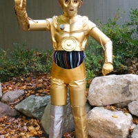 Gold Winner!  (DIY C-3PO Costume)